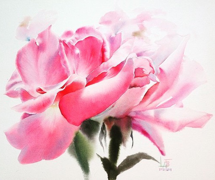 Gallery of Watercolor painting by Ekaterina Sava - Belarus