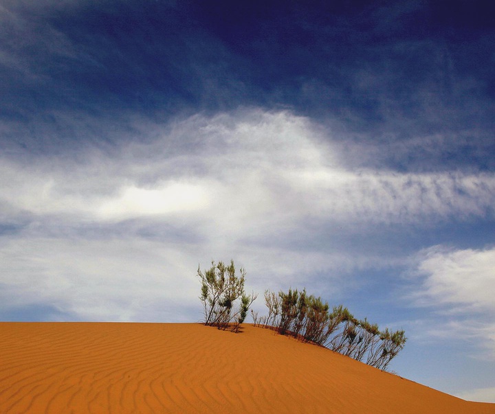 Gallery of Photos by Ali Ghalamsiah-Iran