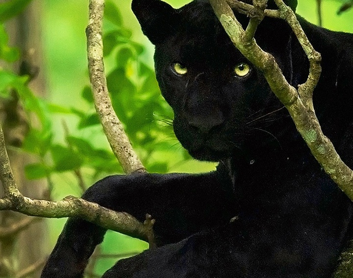 Gallery of Photography by Mithun Hunugund