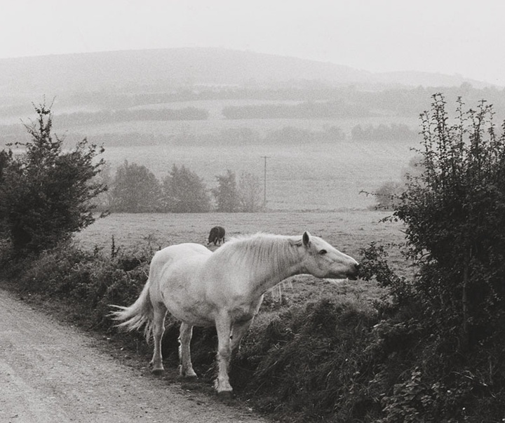 Gallery of Photos by Henri Cartier-Bresson-50s & 60s