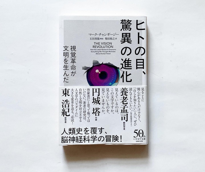 Gallery of Graphic Design By Chikako Oguma- Japan