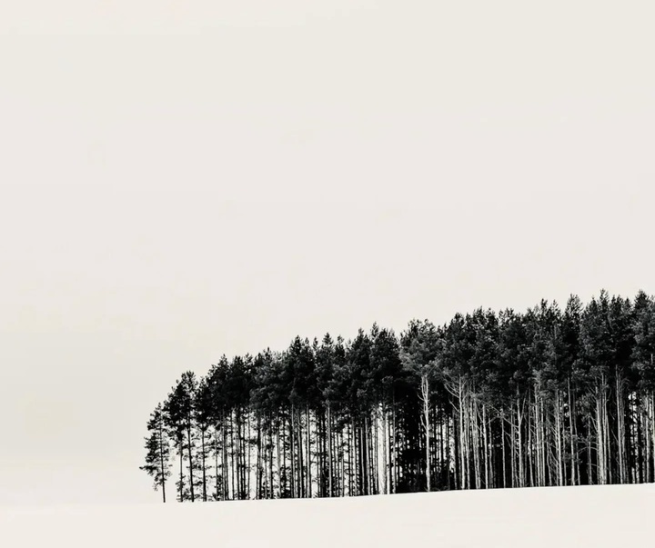 Gallery of Photography by Kalle Saarikko - Finland