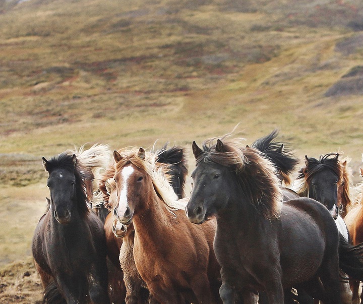 Gallery of Photography by Gigja Einars - Iceland
