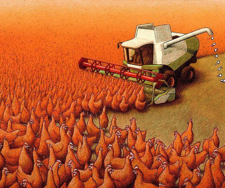 pawel kuczynski poland