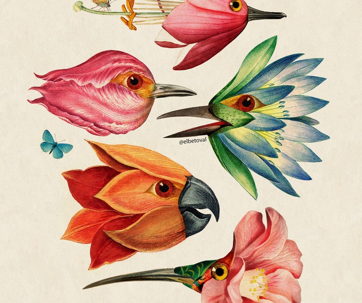 Gallery of Illustration by Beto Valencia - Ecuador