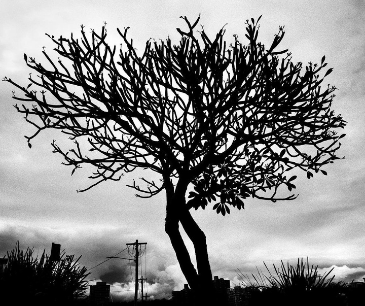 Gallery of Photography by Markus Andersen - Australia