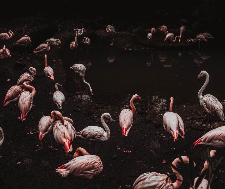 Gallery of Photography by Abbey Bratcher Parish - USA