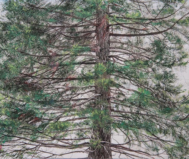 Gallery of Painting by Lumi Mizutani - Japan