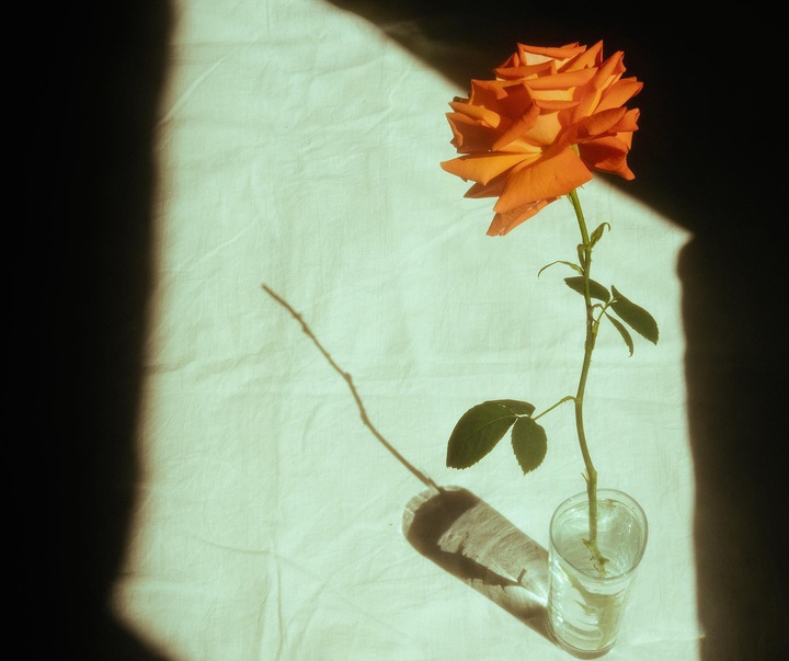 Gallery of Photography by Luka Khabelashvili - Georgia