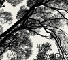 Gallery of Photography by Kalle Saarikko - Finland