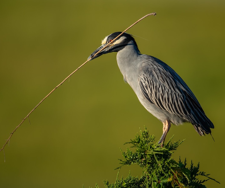 Gallery of Photography by Harry Collins - USA