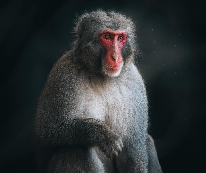 Gallery of Photography by Luke Stackpoole - UK