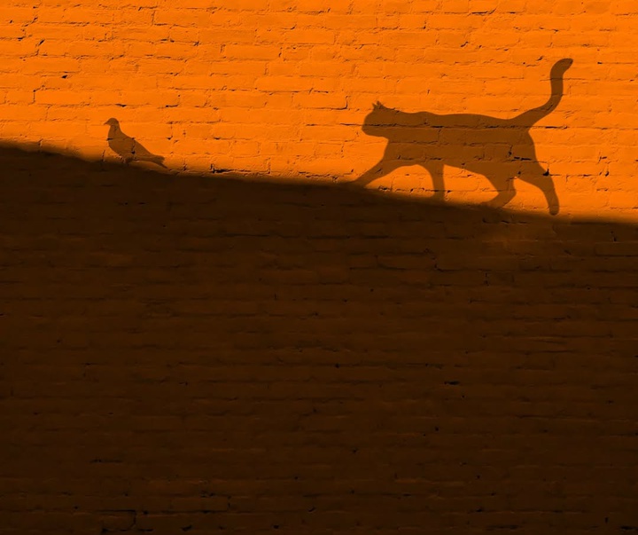 Gallery of Photography by Benjamin Wolf - USA