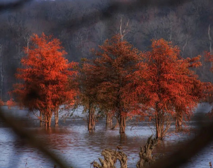 Gallery of Photography by Javad Jahanbin- Iran