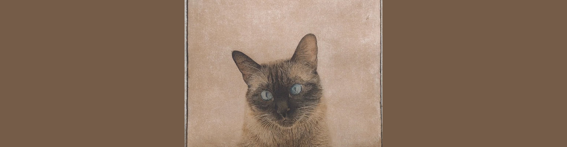 Gallery of Painting by Marta de la Sota Cores - Spain
