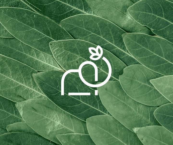 gallery of Graphics by Ramin Nasibov
