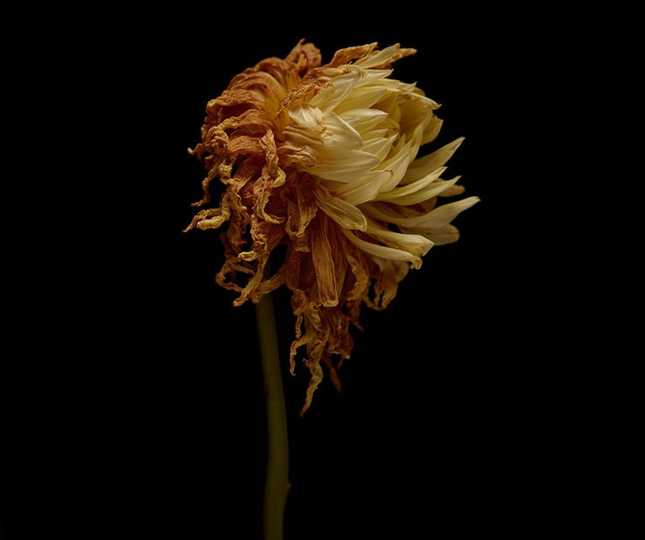 Gallery of Photography by Danny Eastwood - Australia