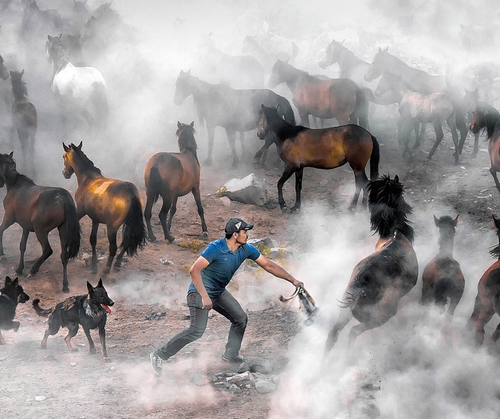 Gallery of Photography by F. Dilek Yurdakul - Turkey