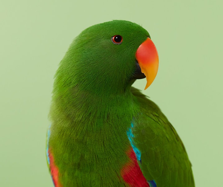 Gallery of Photography by Danny Eastwood - Australia