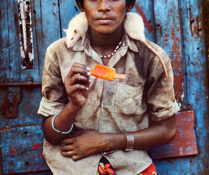 Gallery of Photography by Steve McCurry - USA