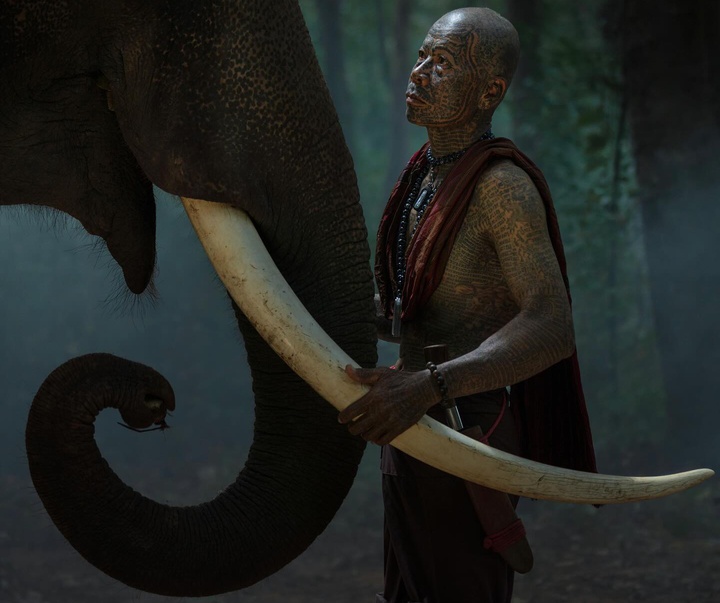 Gallery of Photography by Mahendra Bakle - India