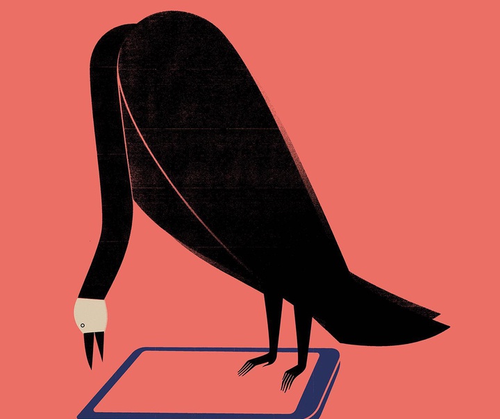Gallery of illustration by Silvia Casanova Fenollosa-Spain