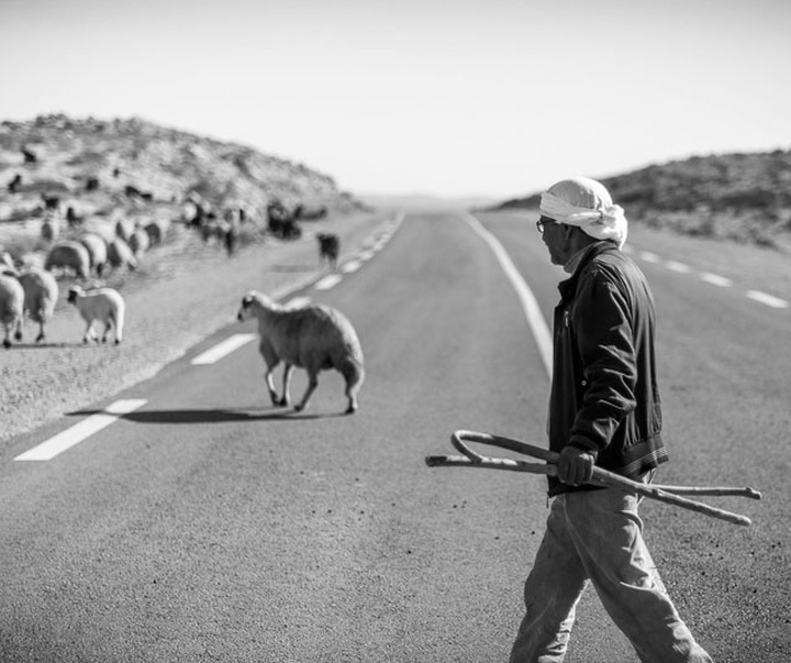 Gallery of photography by Skander Khalif-Tunisia