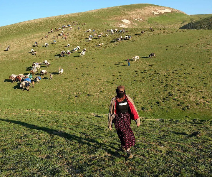 Gallery of Photography by Hüsamettin Bahçe - Turkey