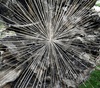 Gallery of Modern Art by Andy Goldsworthy - England