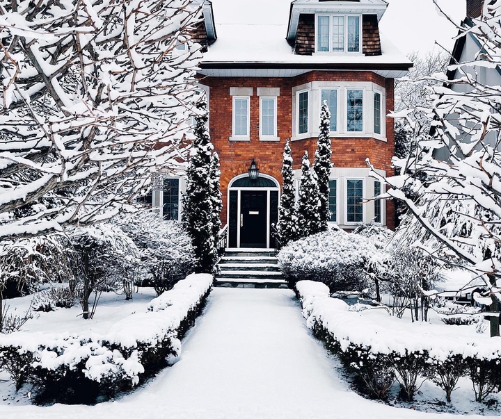 Gallery of Photography by Kael Rebick - Canada