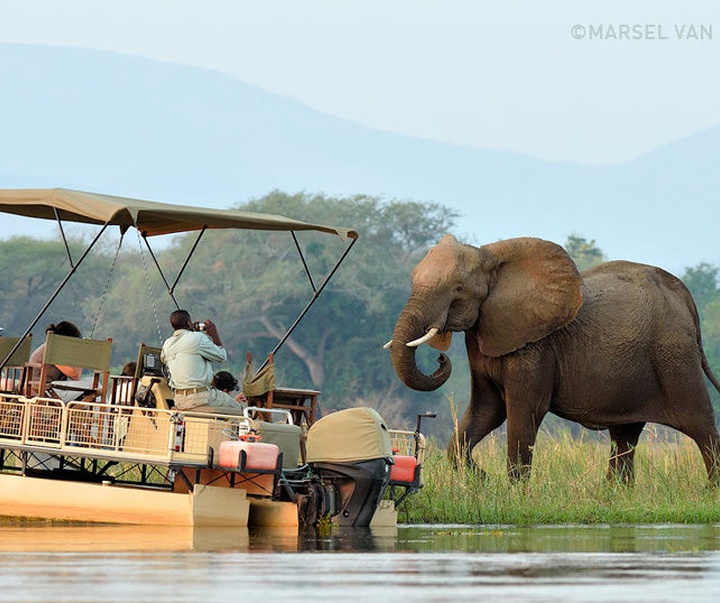 Gallery of Photography by Marsel van Oosten- Netherlands