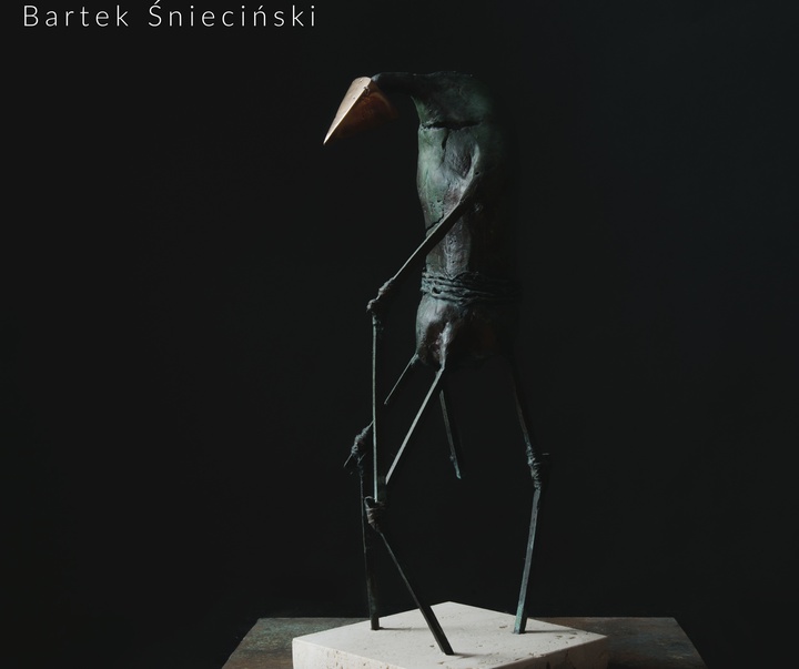Gallery of Sculpture by Bartek Śnieciński - Poland