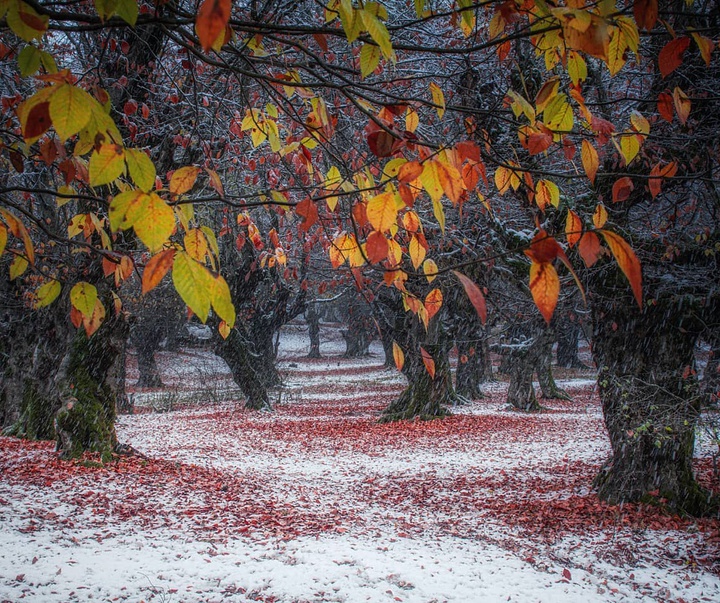 Gallery of Photography by Javad Jahanbin- Iran