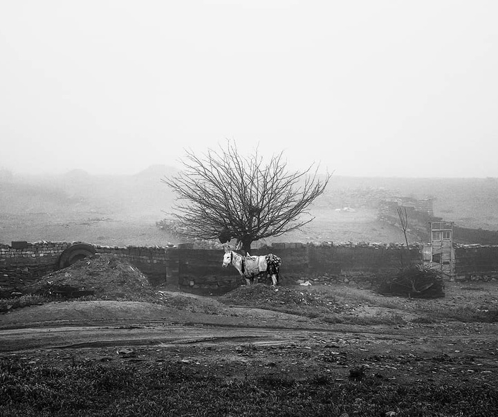Gallery of photography by Bahman Azizi- Iran