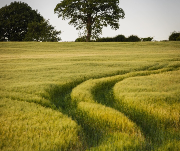 Gallery of Photography by John Threlfall - UK