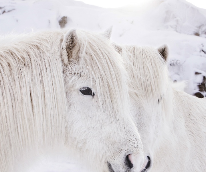 Gallery of Photography by Gigja Einars - Iceland