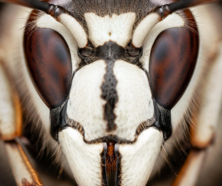 Gallery of Photography by Ben Salb - USA