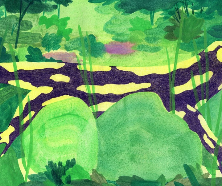 Gallery of Illustration by Lucie Roullier