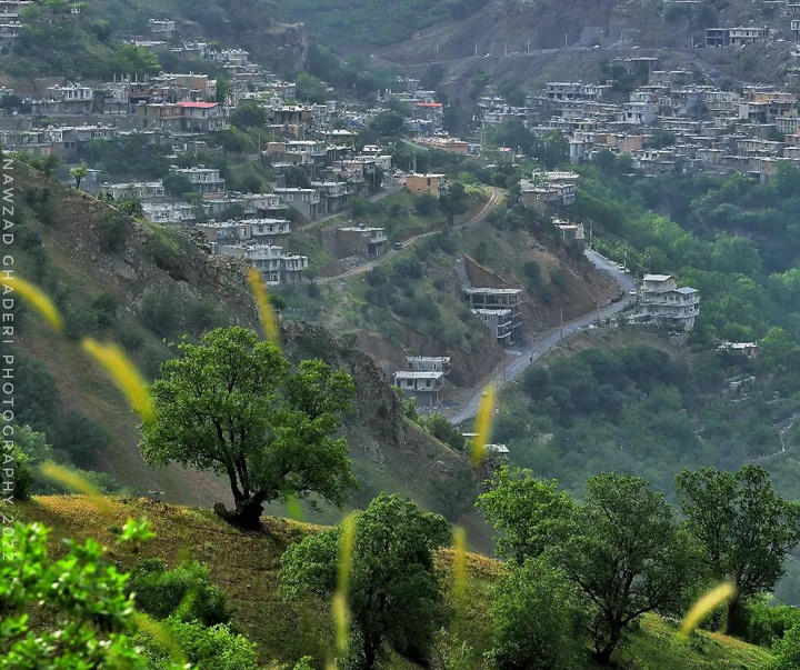 Gallery of photography by Nawzad Ghaderi - Iran