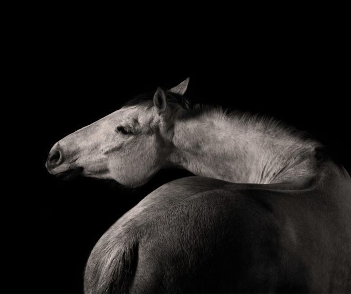 Gallery of Photography by Constance Jaeggi - Switzerland