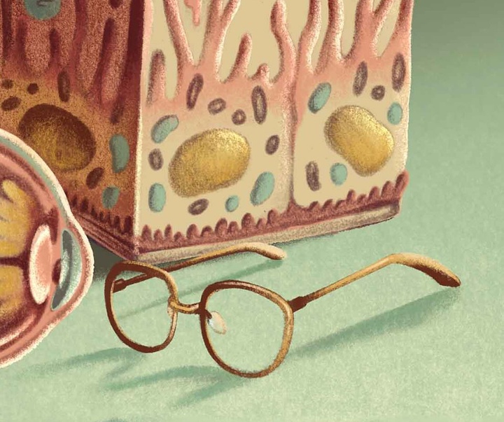 Gallery of Illustration by Ada Zejun Shen - USA