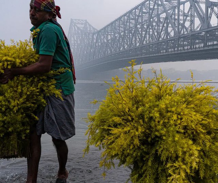 Gallery of photography by Tanay Sahoo-India