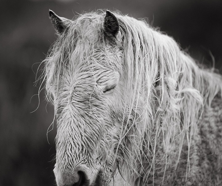 Gallery of Photography by Gareth Llewellyn - Wales