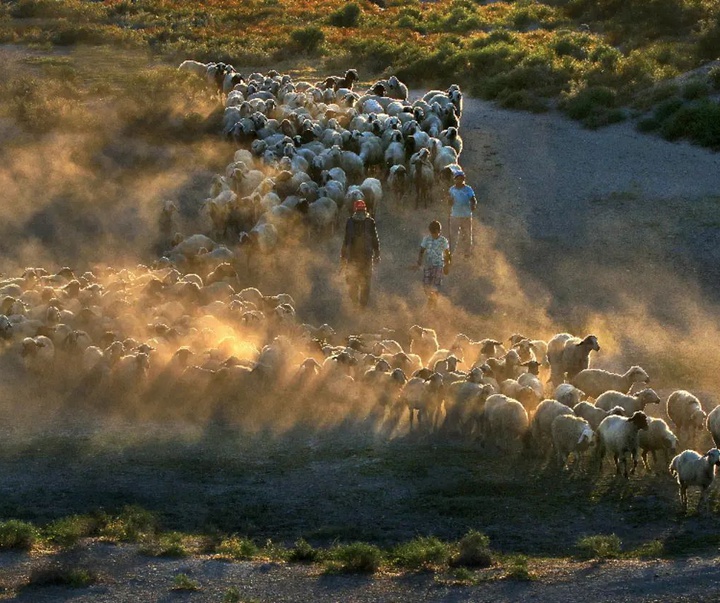 Gallery of photography by Mustafa Shahbaz - Turkey