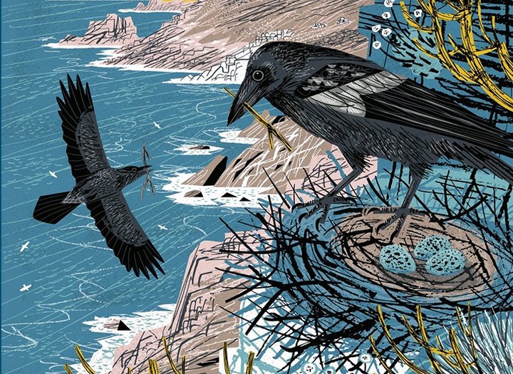 Gallery of Illustration by Matt Johnson - UK