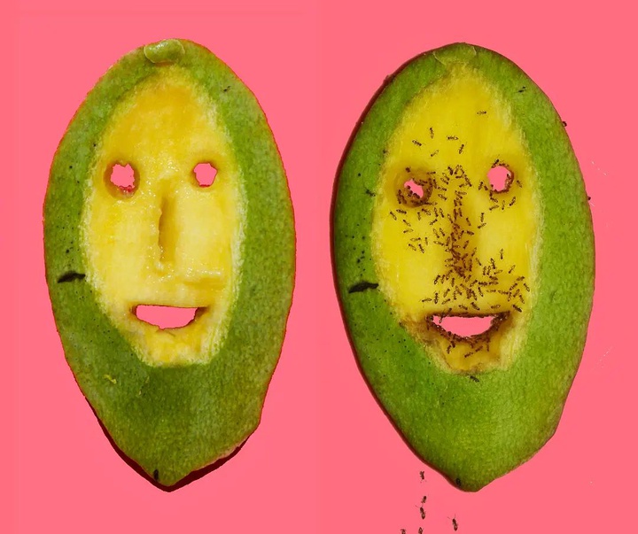 Gallery of Illustrations by Craigio Hopson