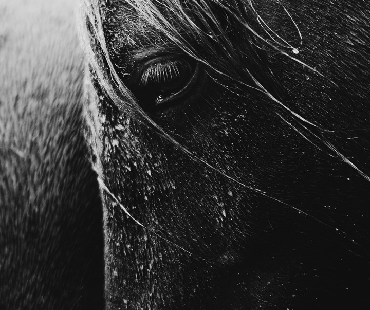Gallery of Photography by Gigja Einars - Iceland