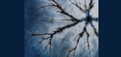 Gallery of Photography by Marcin Giba - Poland