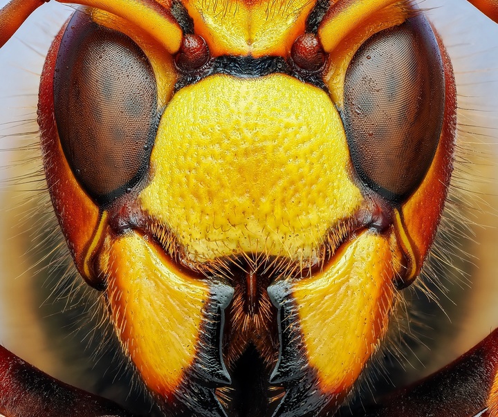 Gallery of Photography by Ben Salb - USA