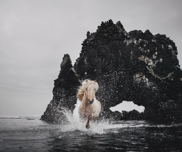 Gallery of Photography by Gigja Einars - Iceland